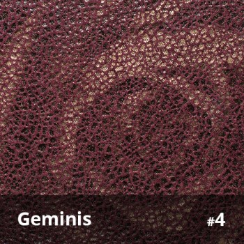 Geminis 4
